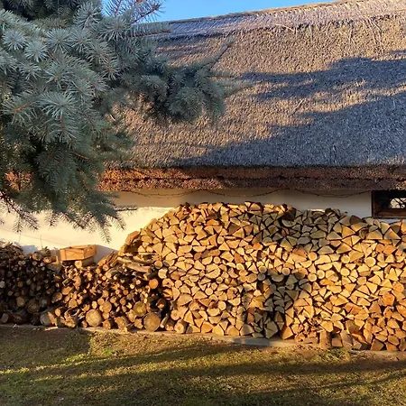 Nadfedeles Haziko בית נופש *