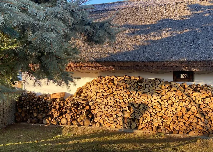 Nadfedeles Haziko בית נופש *